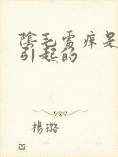阴毛处痒是什么引起的