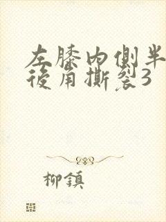 左膝内侧半月板后角撕裂3