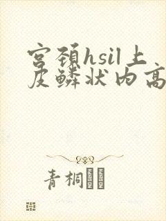 宫颈hsil上皮鳞状内高度病变
