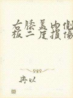 右膝盖内侧半月板二度损伤怎么治