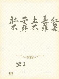 肚子上长红疙瘩不疼不痒是什么原因