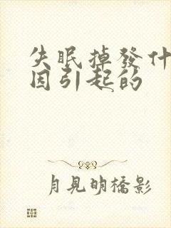 失眠掉发什么原因引起的