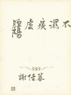 脾虚痰湿不能补阳