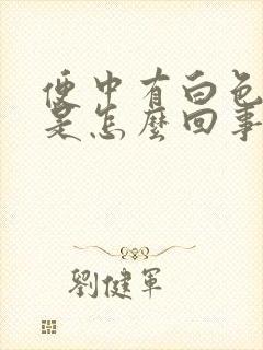 便中有白色粘液是怎么回事