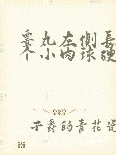 睾丸左侧长了一个小肉球硬硬的