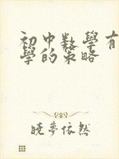 初中数学有效教学的策略封面