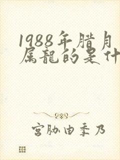 1988年腊月属龙的是什么命封面