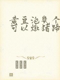 黄豆泡几个小时可以炖猪蹄