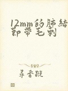 12mm的肺结节带毛刺