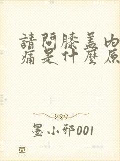 请问膝盖内侧疼痛是什么原因