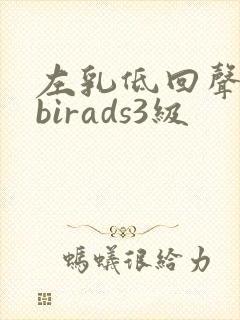 左乳低回声结节birads3级