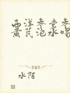 西洋参党参麦冬黄芪泡水喝