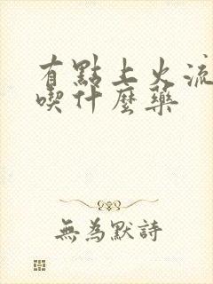 有点上火流鼻血吃什么药