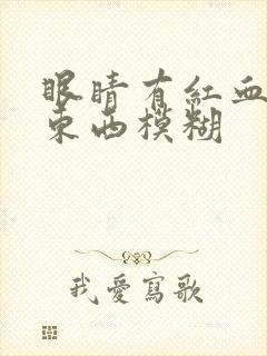眼睛有红血丝看东西模糊