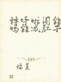 转呼啦圈能减肥吗能减肚子吗