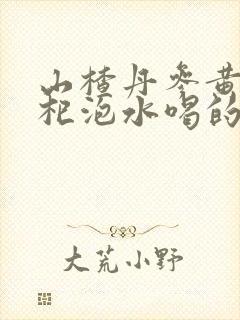 山楂丹参黄芪枸杞泡水喝的功效与作用