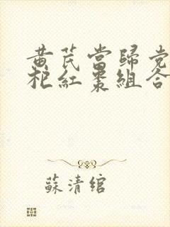 黄芪当归党参枸杞红枣组合封面