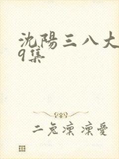 沈阳三八大案第9集