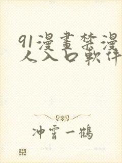91漫画禁漫成人入口软件封面