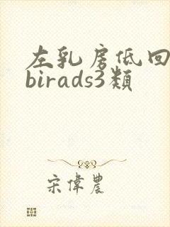 左乳房低回声节birads3类