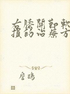 右膝关节软骨磨损的治疗方法封面