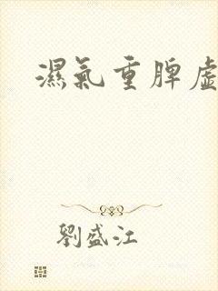 湿气重脾虚热