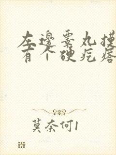 左边睾丸摸上去有个硬疙瘩,怎么办?