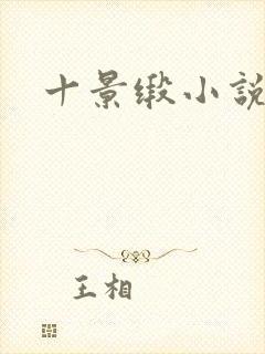 十景缎小说封面