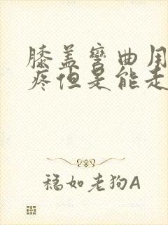 膝盖弯曲用力就疼但是能走路