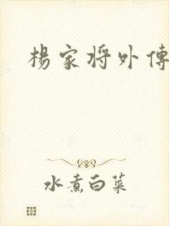 杨家将外传