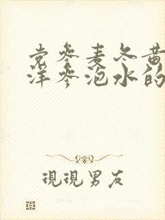 党参麦冬黄芪西洋参泡水的功效与作用