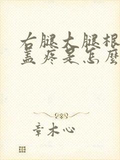 右腿大腿根到膝盖疼是怎么回事