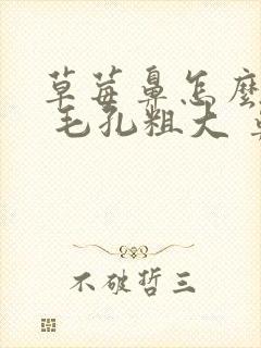 草莓鼻怎么改善 毛孔粗大 鼻子 出油