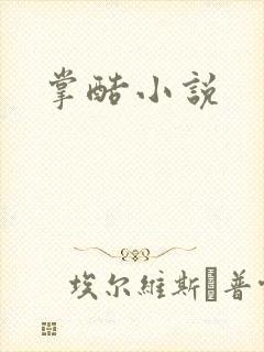 掌酷小说