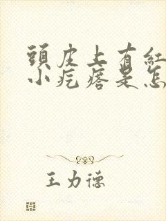 头皮上有红色的小疙瘩是怎么回事封面