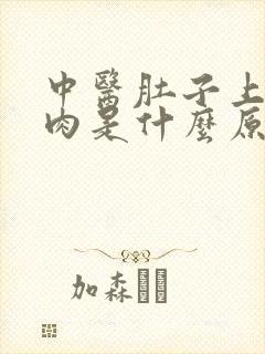 中医肚子上的赘肉是什么原因
