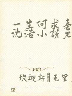 一生何求秦菲雪沈浩小说免费阅读全文
