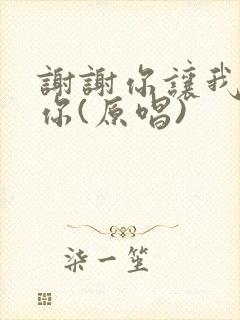 谢谢你让我遇到你(原唱)封面