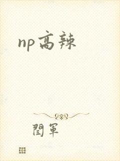 np高辣封面