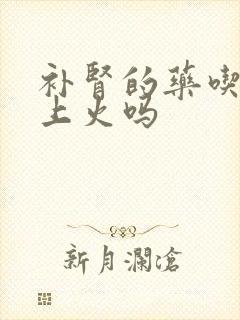 补肾的药吃了会上火吗
