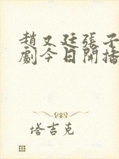 赵又廷张子枫新剧今日开播