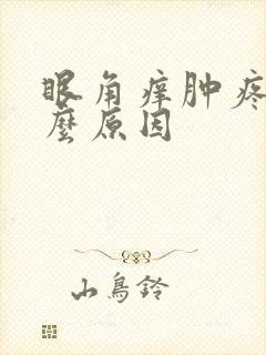 眼角痒肿疼是什么原因封面