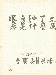 眼角肿了又痒又疼是什么原因引起的