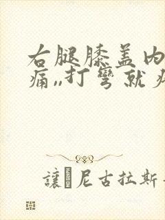 右腿膝盖内侧疼痛,,打弯就疼,为什么