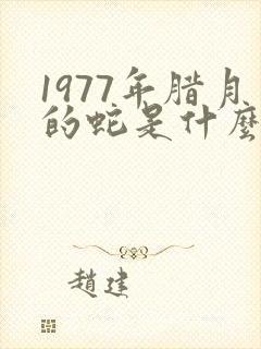 1977年腊月的蛇是什么命封面