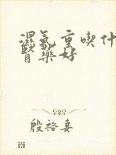 湿气重吃什么补肾药好