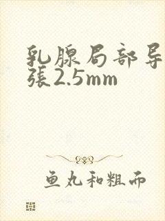乳腺局部导管扩张2.5mm