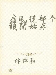 痛风从哪个脚趾头开始疼封面
