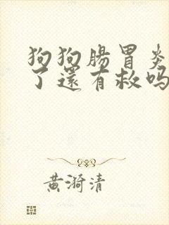 狗狗肠胃炎拉血了还有救吗封面
