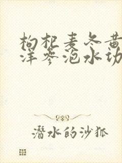 枸杞麦冬黄芪西洋参泡水功效